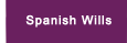 Spanish Wills Services